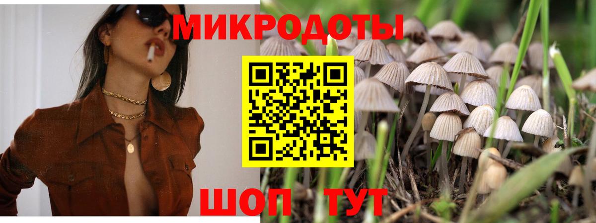 Семилуки  Псилоцибиновые грибы Psilocybine cubensis  Вход с VPN 